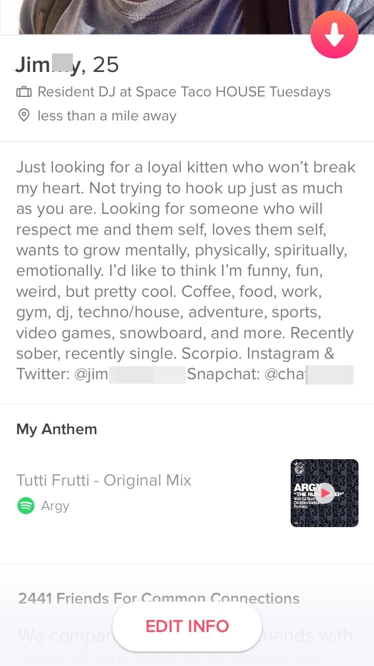 A too long Tinder bio that doesn't qualify as one of the best Tinder bios for guys