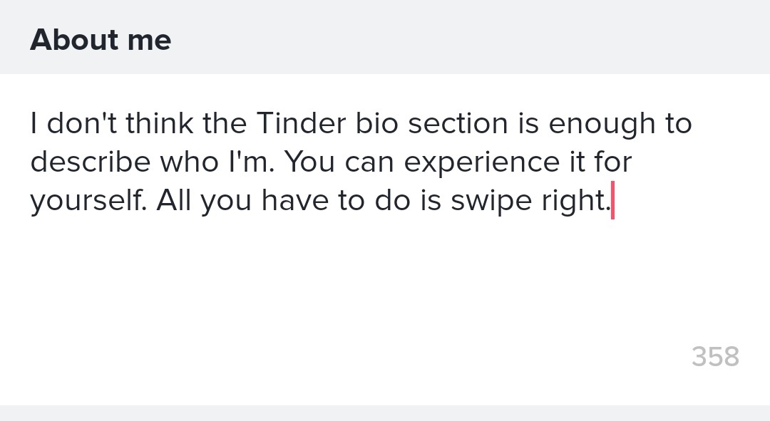 Example 30 of Tinder bios for guys
