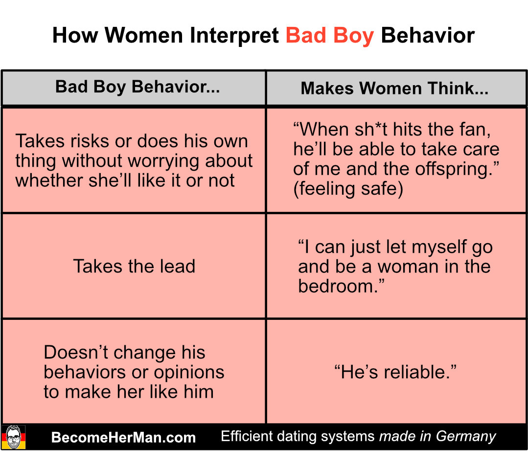 Bad Boy vs Nice Guy behavior overview